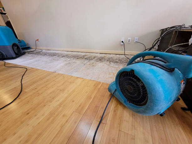 Professional Flood Damage Cleanup technician working in Rosholt, WI